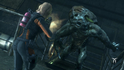 Resident Evil Revelations (для ПК, цифровой код доступа)