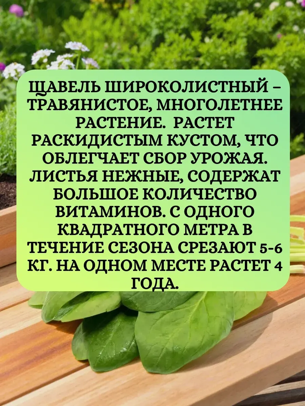 Семена Набор Щавель 3 шт