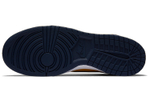 Nike Dunk High Michigan 2020