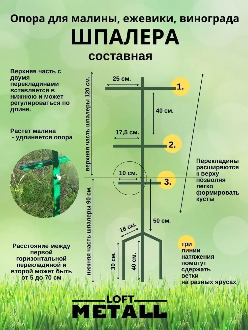 Шпалера для малины