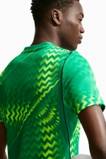 Вратарская футболка Nike Gardien VI Goalkeeper - зеленый