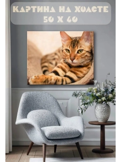 Картина на стену 40 X 50 Кот