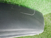 DSCN3009.jpg