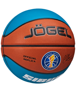 Мяч баскетбольный Pro Training ECOBALL 2.0 Replica №7