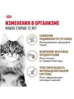 AGEING 12+ Корм для кошек в соусе 85г*28шт