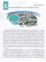 Грибабушка, или Немножко колдовства. Серия "Сказочный город"