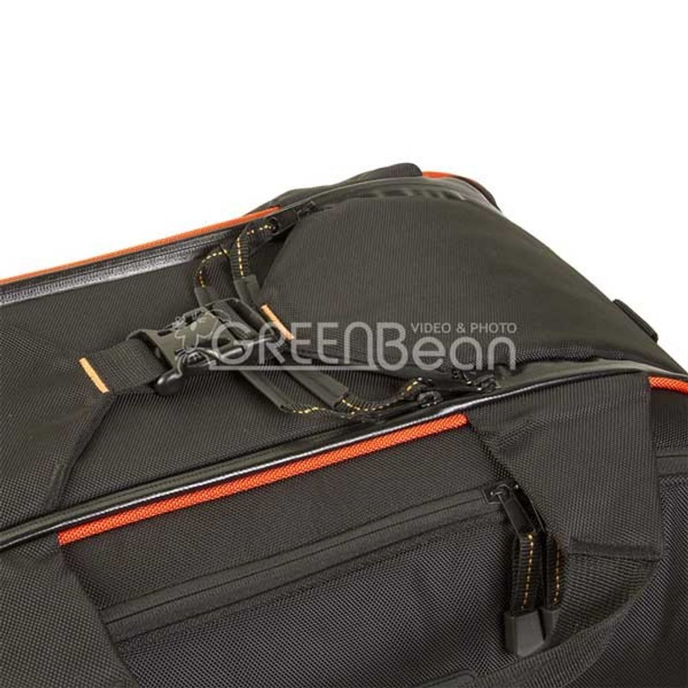 GreenBean Forward 02
