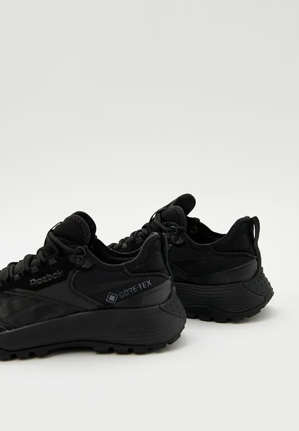 Кроссовки мужские REEBOK DMX TRAIL GTX