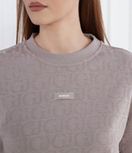 Худи GUESS ACTIVE - коричневый(V4RQ16 KC2W0)
