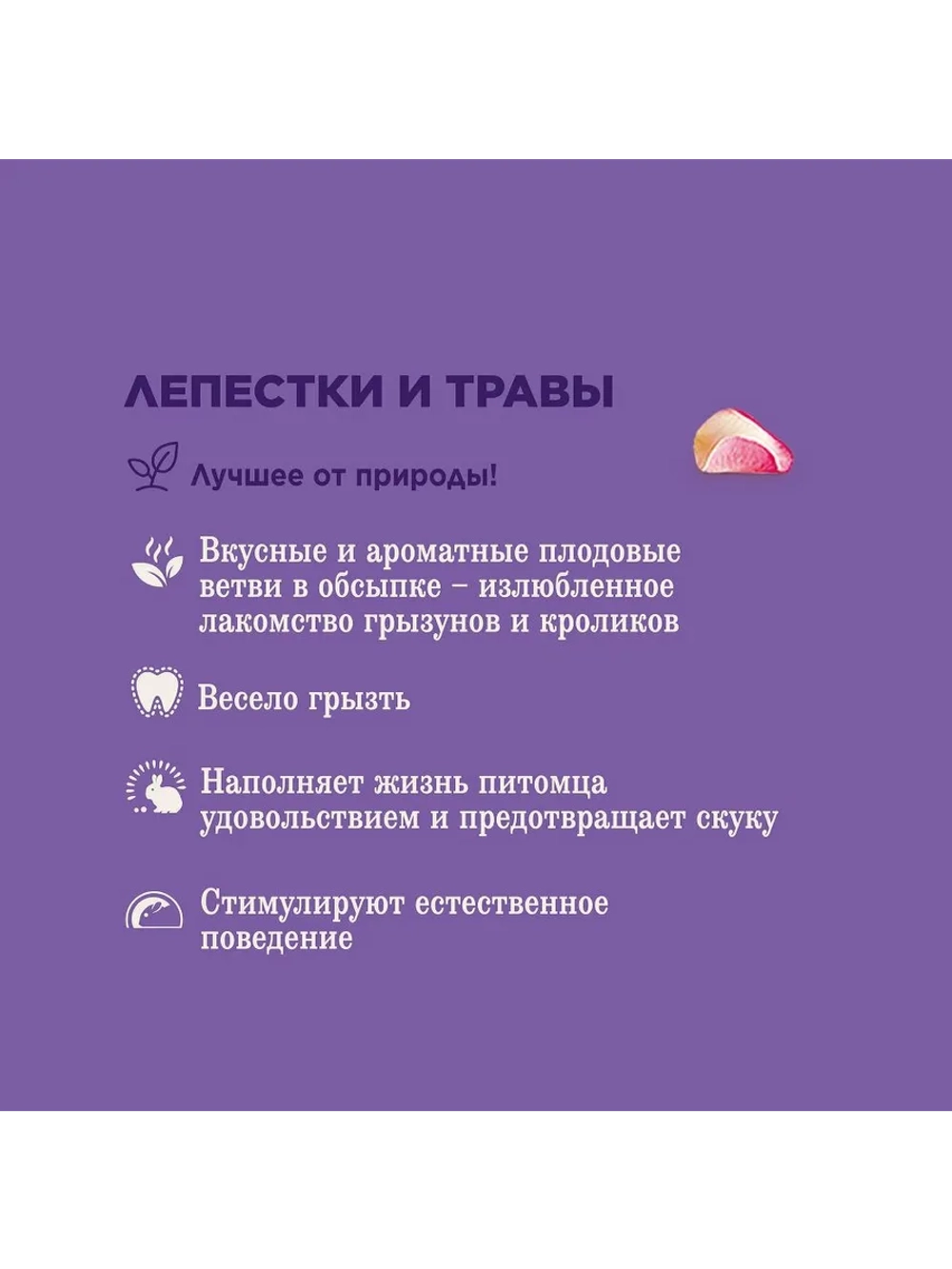 Лакомство для грызунов Ветви с травами и лепестками 35г