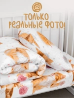 Детское постельное белье 160х80 котики Томас