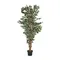 Искусственное растение FICUS