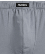 Мужские трусы шорты Atlantic, набор из 5 шт., хлопок, серые + графитовые + черные + изумрудные + эспрессо, 5SMH-002