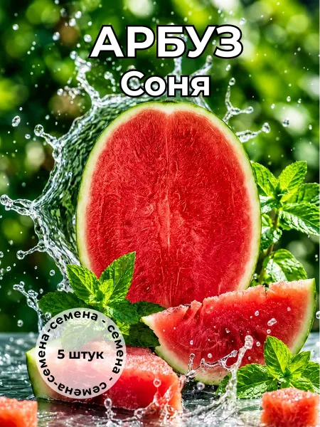 Арбуз Соня — семена, 5 шт.