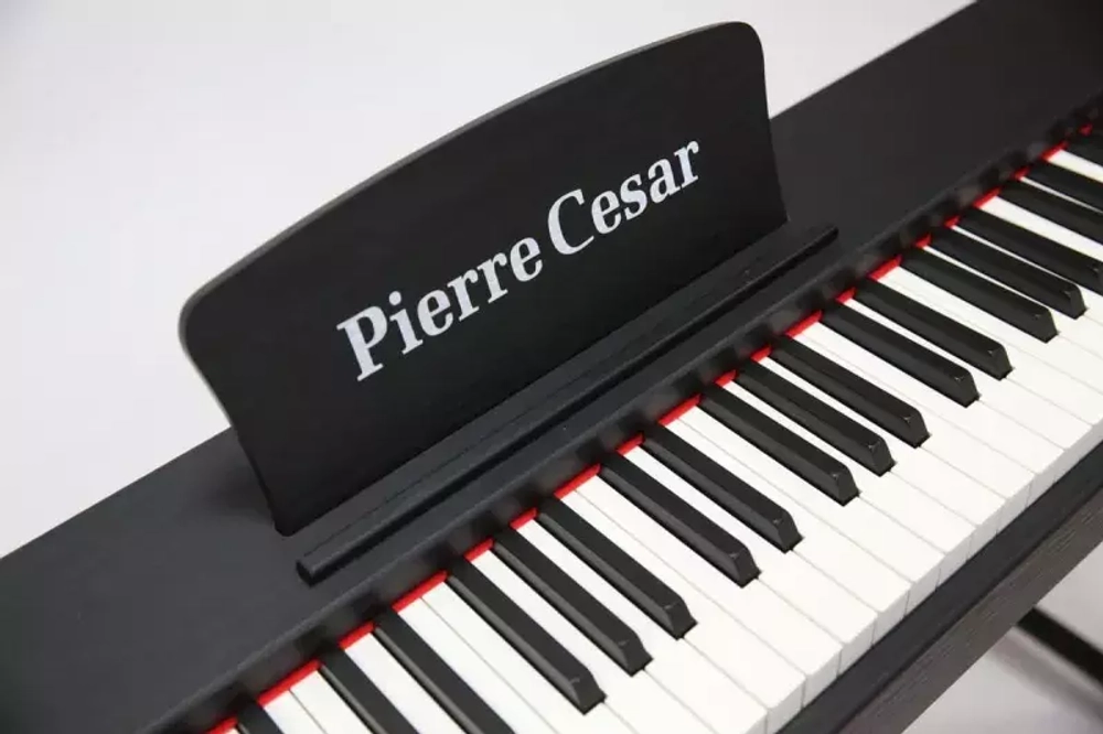 Pierre Cesar DP-121-H