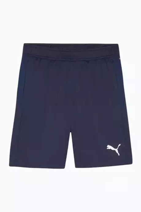Шорты Puma teamGOAL Training