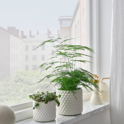 IKEA GLACIÄRBJÖRN  (ИКЕА ГЛАСИЭРБЙЁРН)  -  Кашпо - белое 12 см