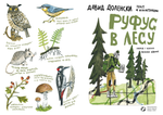 Руфус в лесу