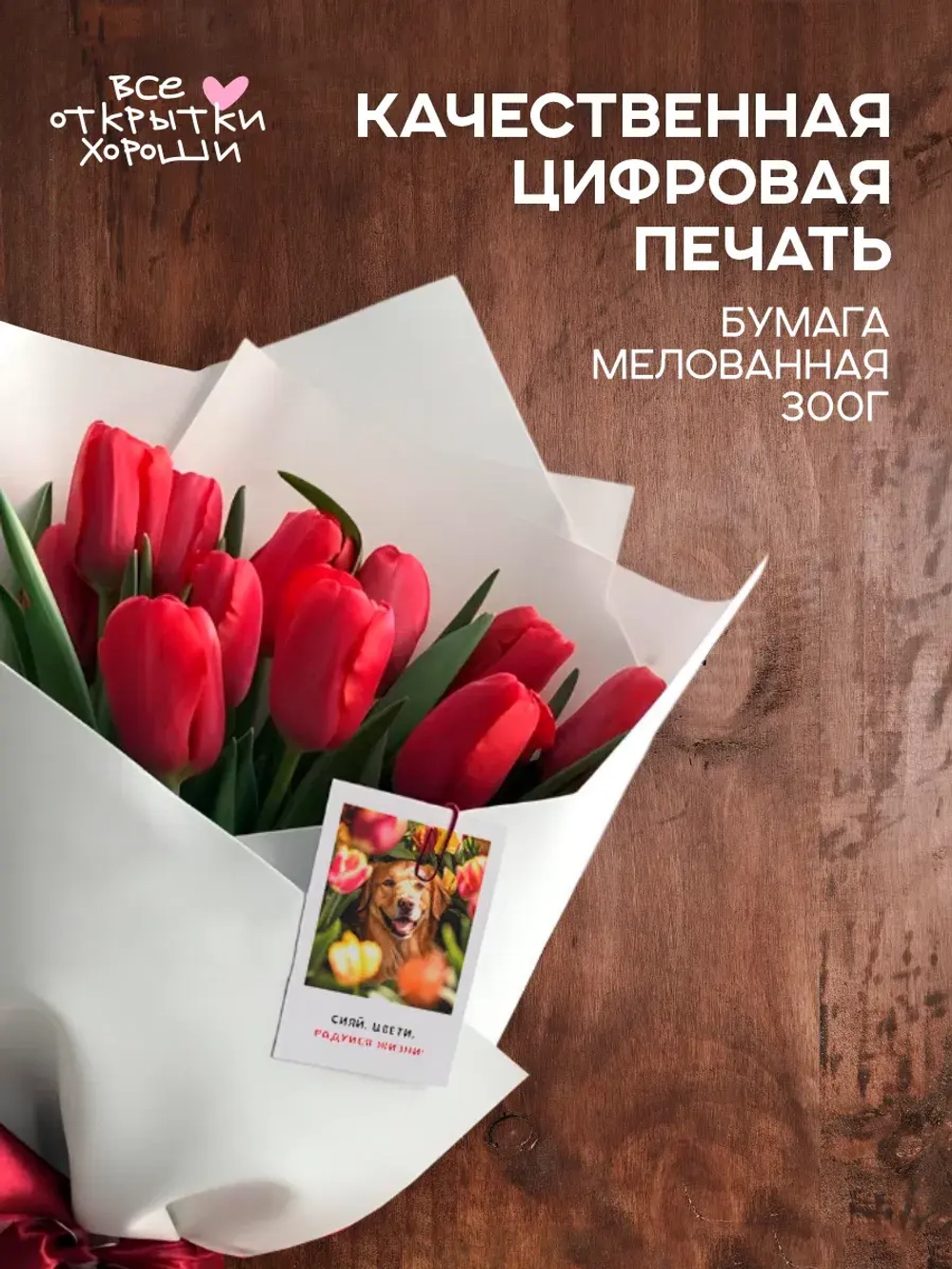 Набор мини открыток универсальные мотивация с животными 32