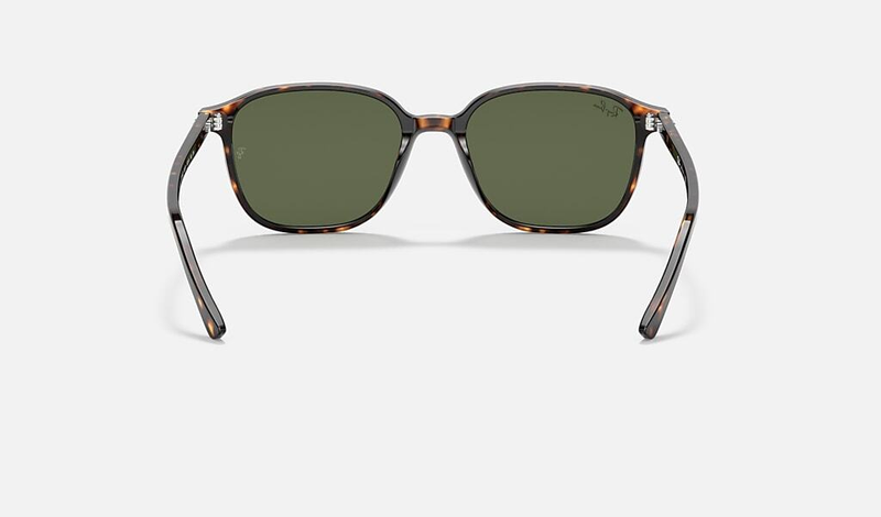 RAY-BAN LEONARD RB2193 902/31