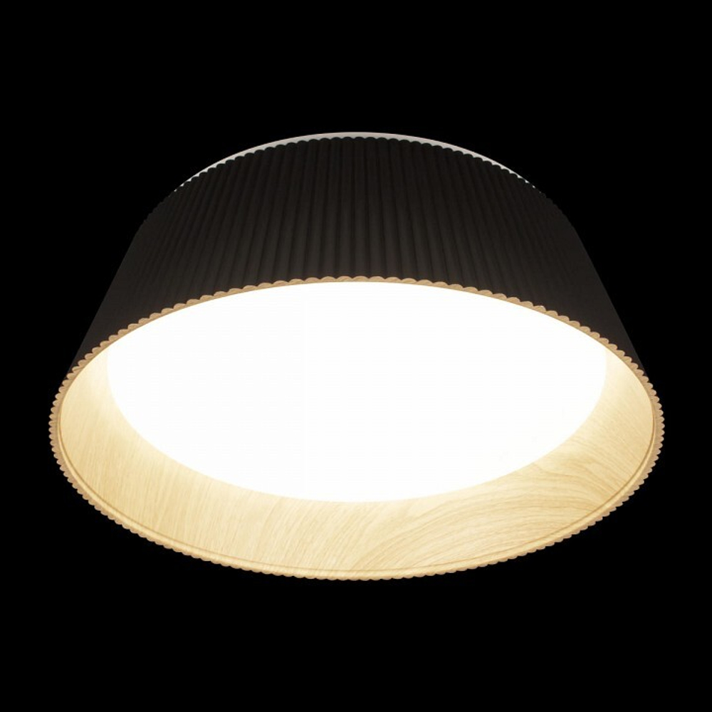 Накладной светильник Loft it Evans 10224 Black