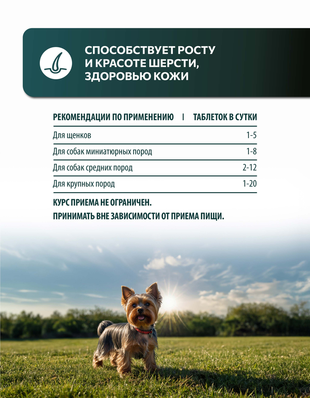 Vita+ мультивитаминное лакомство для собак Здоровая кожа и красивая шерсть, 90 таблеток