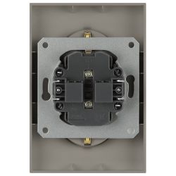 Розетка ЭРА Arktik 16-2104-07 двойная с заземлением 2X2P+E Schuko 16А-250В титан | Эра Arktik