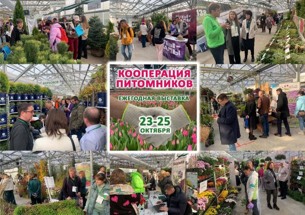 Выставка "Кооперация питомников 2024": партнерство и инновации Выставка "Кооперация питомников 2024": партнерство и инновации