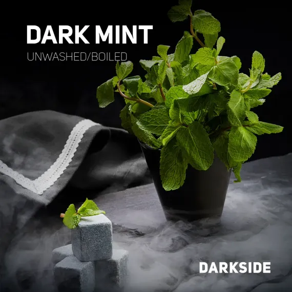 DarkSide - Dark Mint (100г)