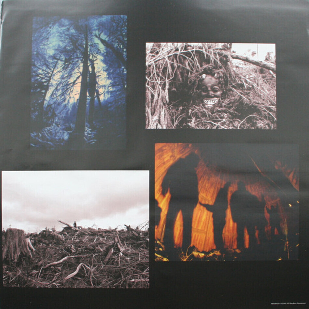 Pearl Jam / Vs. (LP)