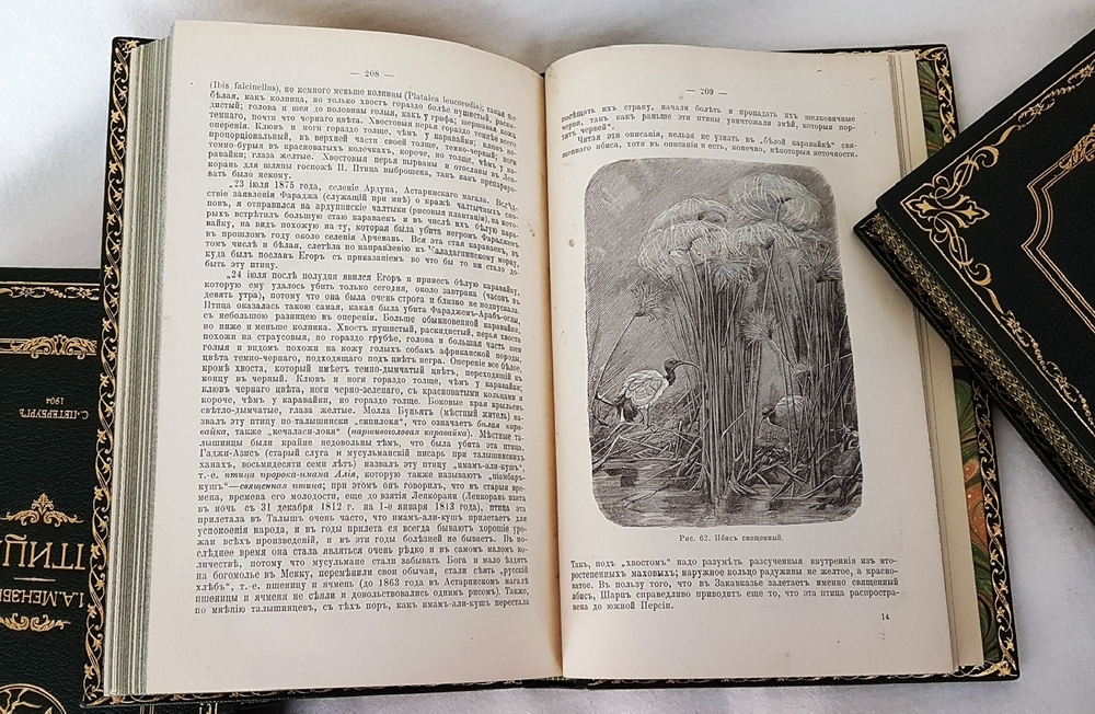 "Птицы". М.А.Мензбир. 1918г. - антикварное издание
