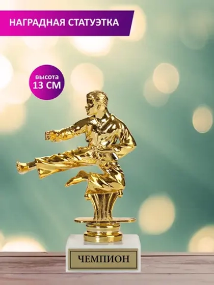 Статуэтка Каратист "Чемпион"