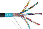 Кабель витая пара F/UTP 5e кат. 25 пар Netlan EC-UF025-5-PE-BK-3