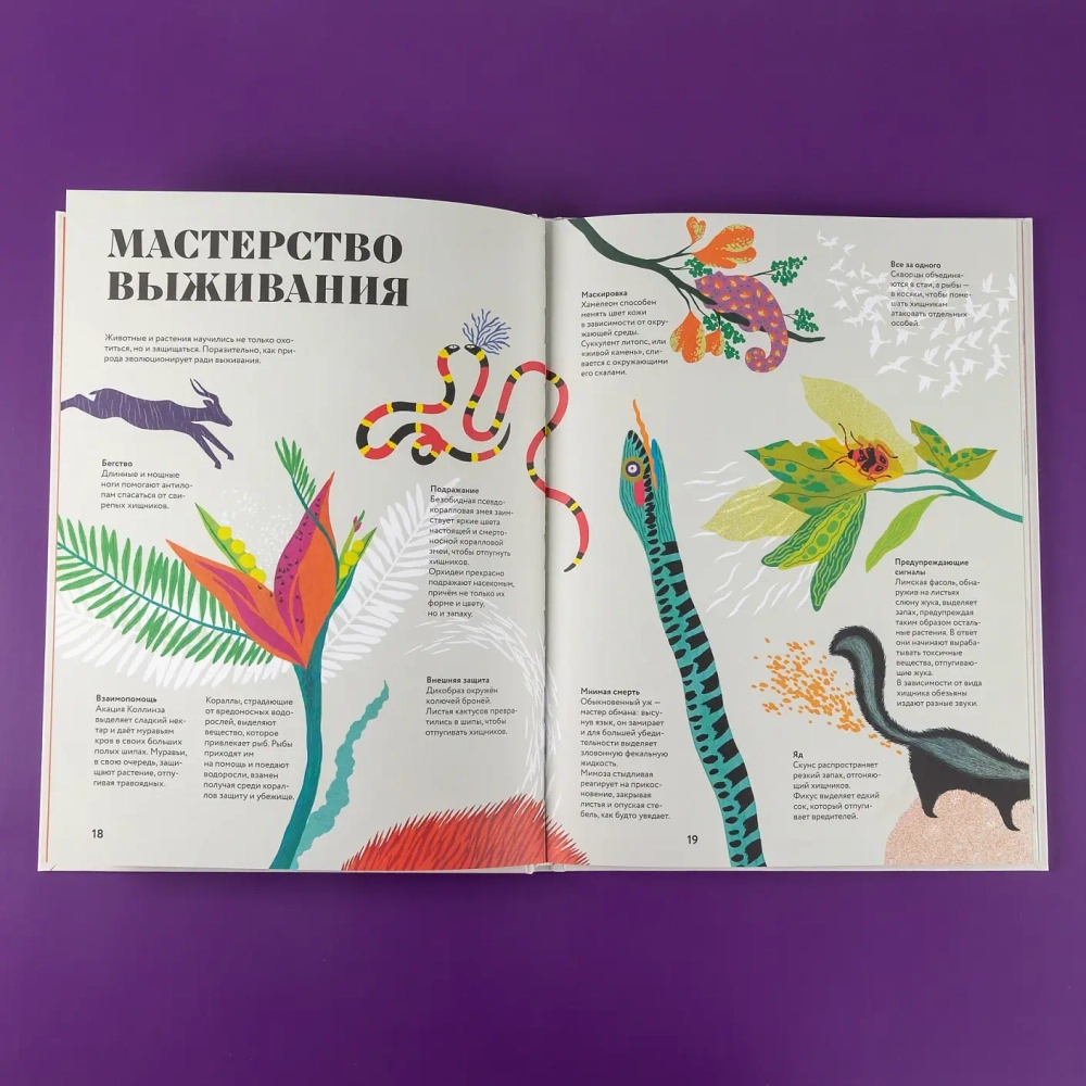 Чудесная книга смерти