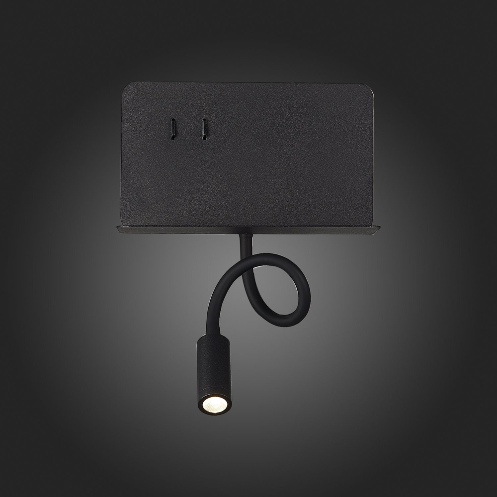 Светильник настенный ST Luce SL1576.401.02