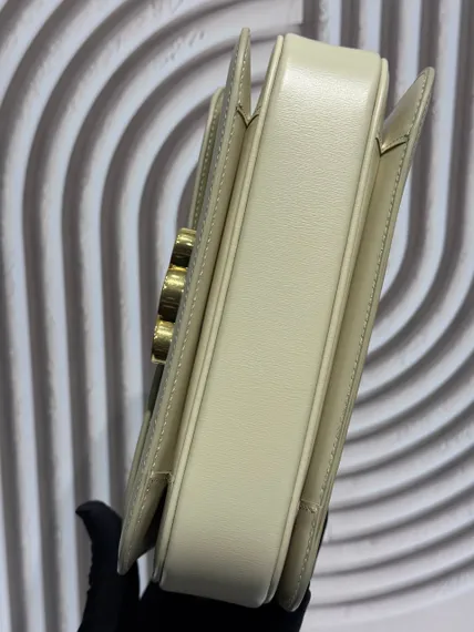 Сумки CELINE CLASSIQUE TRIOMPHE из блестящей кожи