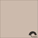 Colorama CO187 Silver Birch 2.72х11 м