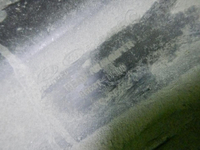 DSCN1394.jpg