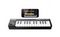 AKAI PRO LPK25 WIRELESS