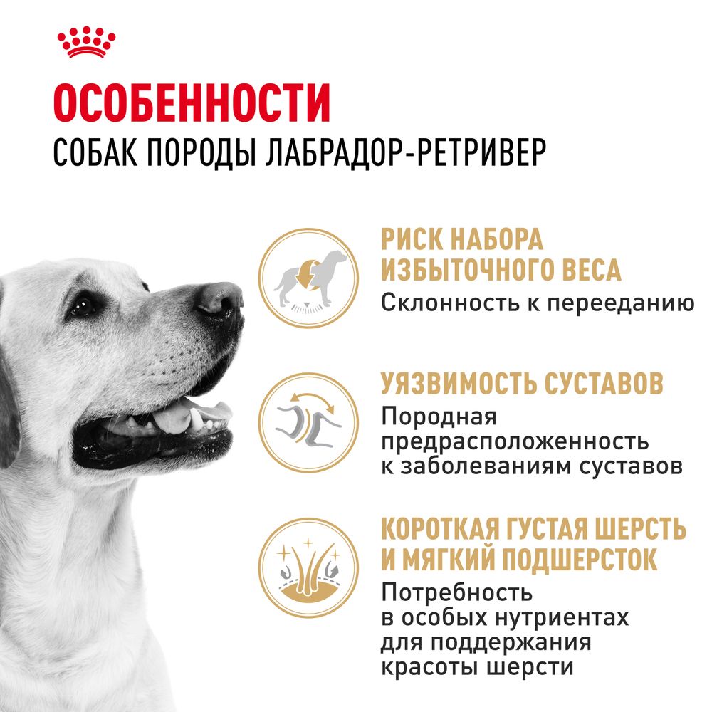 Сухой корм Royal Canin Labrador Retriever Adult для взрослых собак породы Лабрадор Ретривер от 15 месяцев