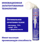 Кислородный баллончик с гелием Air-Active (О2+He) c маской-комфорт и эфирными маслами 17 л.