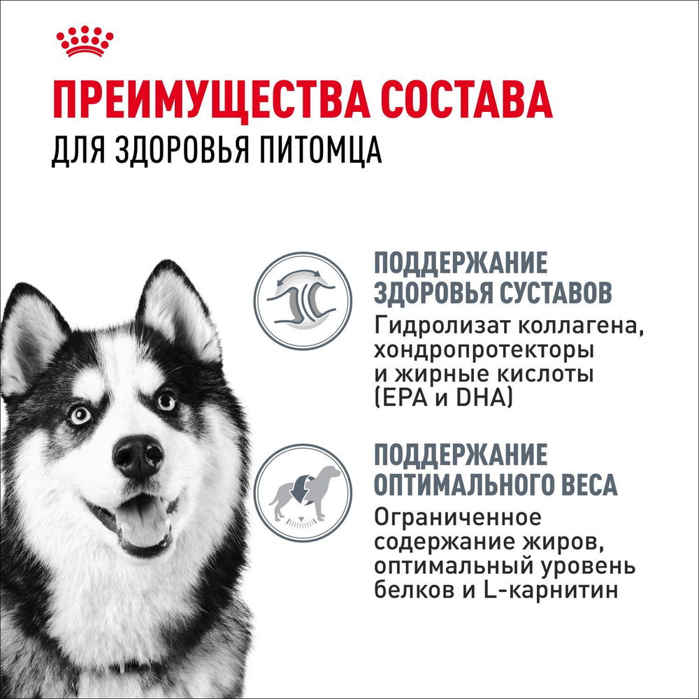 Royal Canin Maxi Joint Care Макси Джойнт кэа Корм сухой для взрослых собак крупных размеров с повышенной чувствительностью суставов 10кг