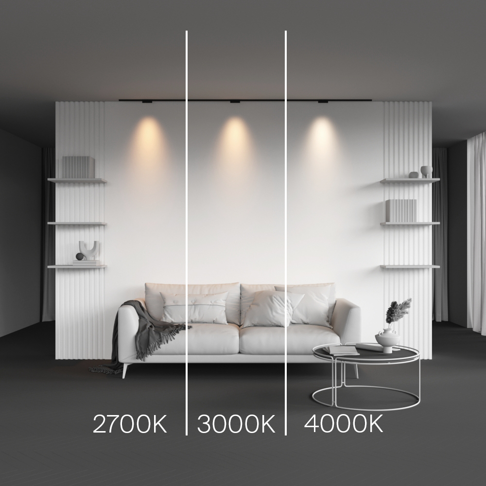 Магнитный трековый светильник Maytoni Points TR193-1-5W4K-M-B