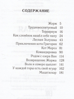 Лесная Золушка