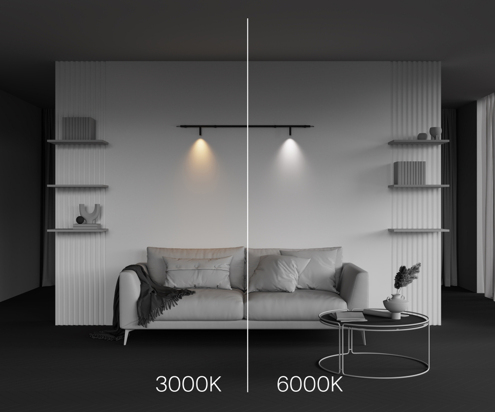 Светильник светодиодный для штанговой системы освещения Maytoni AXITY Focus LED C102CL-3W3-6K-B