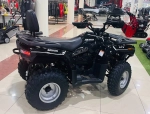 Квадроцикл Bashan BS200AU-19 черный