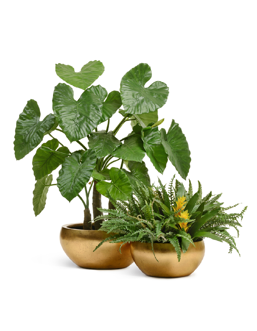 Кашпо TREEZ Effectory Metal Низкая полусфера Сусальное золото в-24 см, д-50 см 41.3321-04-057-GLD-50
