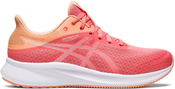 Кроссовки Asics PATRIOT 13 W