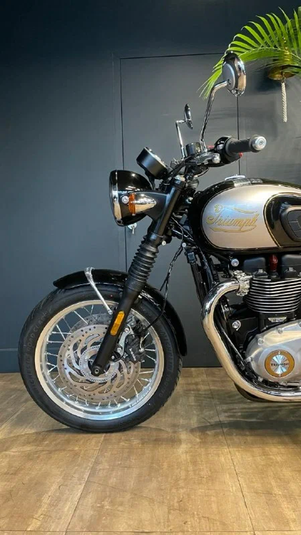 Triumph Bonneville T120 Icon Edition, 2025