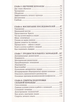 Команда мечты